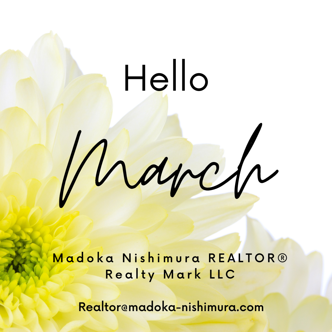 Read more about the article Hello March!